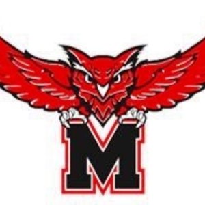 mps-owls-logo-2