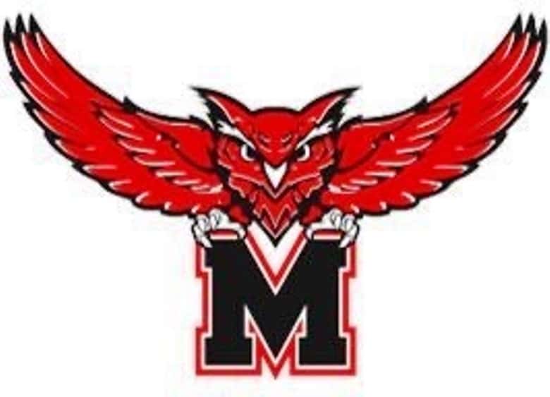 mps-owls-logo-2