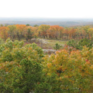 fall-colors-pic-9-14-20