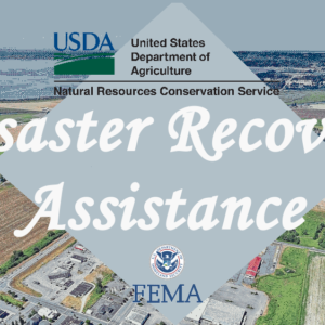 disaster-recovery-assistance