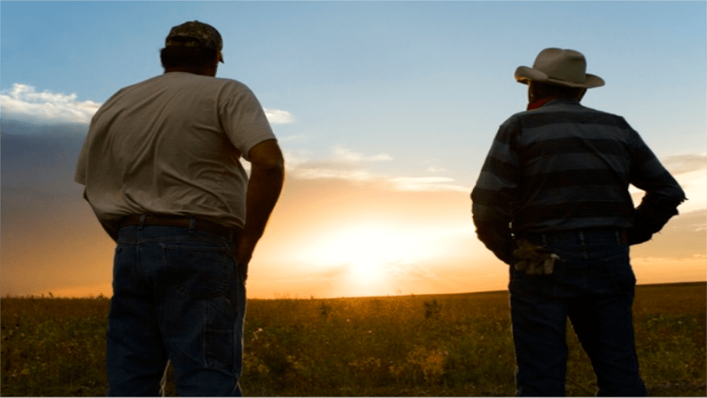 farmers-transfer-farm-succession