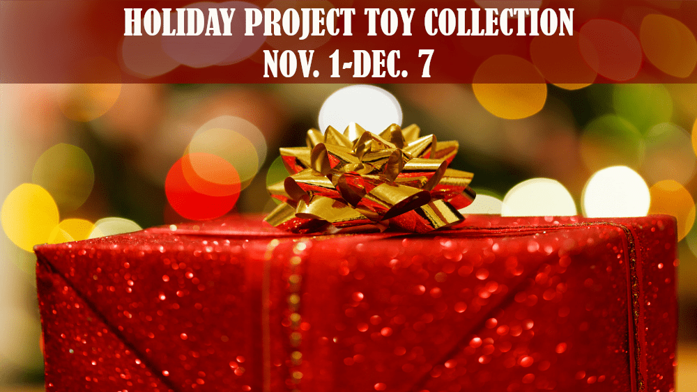 toy-collection-holiday-project