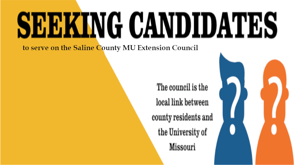 seeking-candidates-mu