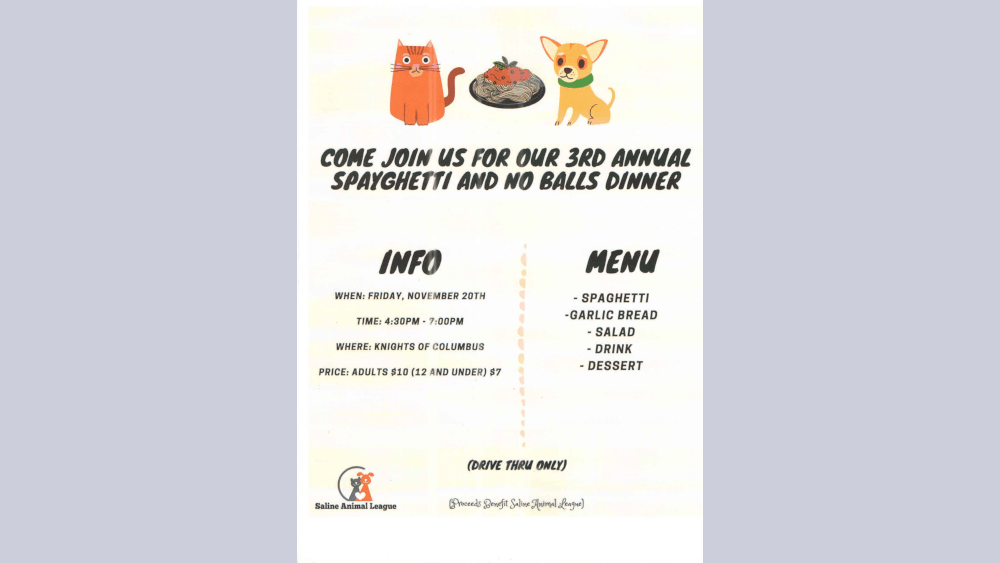 spayghetti-and-no-balls-pic-11-17-20