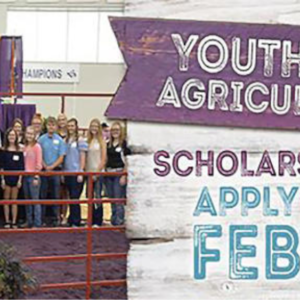 youth-in-agriculture-scholarship