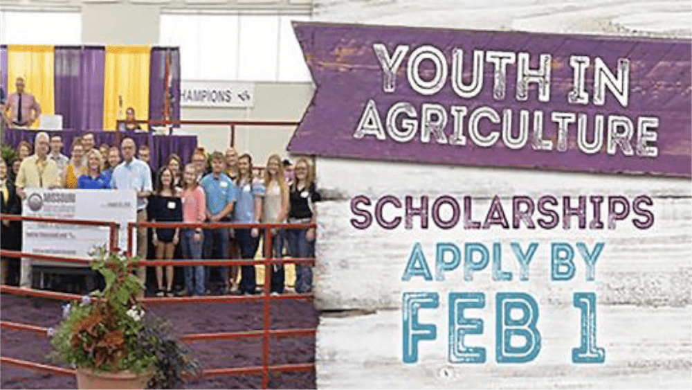 youth-in-agriculture-scholarship