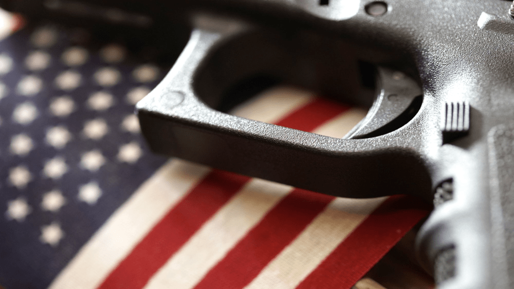 gun-flag