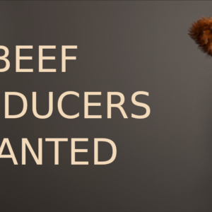 beef-producers-wanted-12-9-20