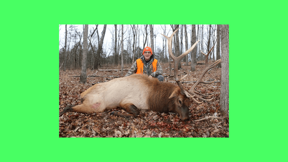 elk-pic-12-22-20
