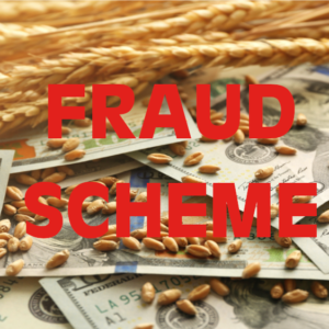 grain-fraud-scheme