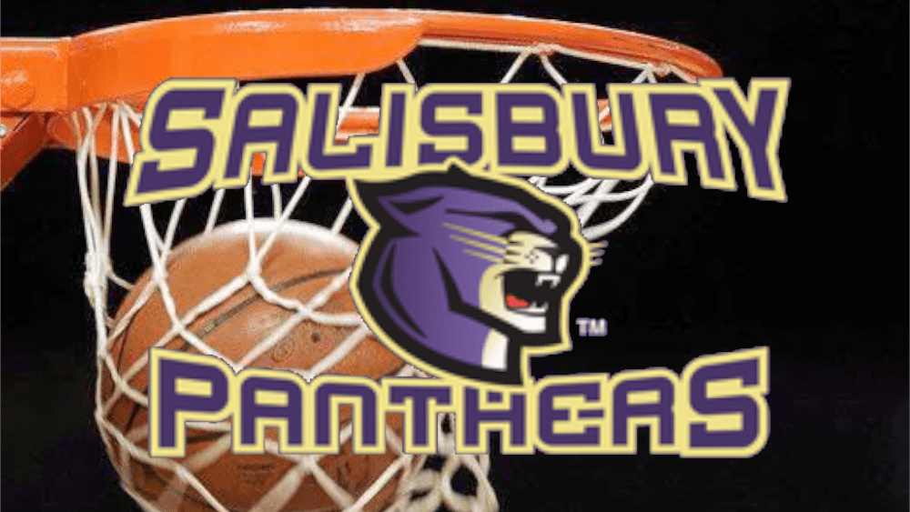 salisbury-panther-basketball-hoop-2-25