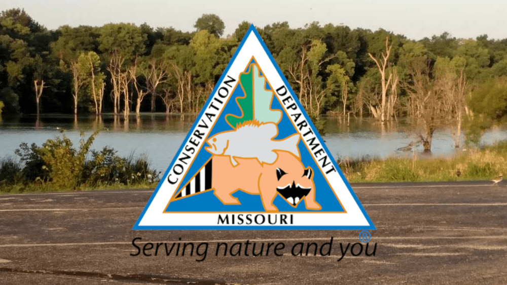 Fly Fishing  Missouri Department of Conservation