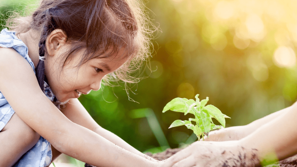 planting-tree