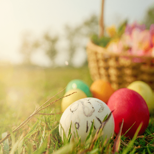 ALMA EASTER EGG HUNT