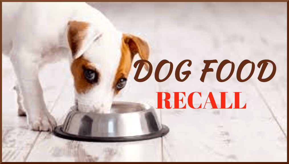 MIDWESTERN PET FOODS VOLUNTARY RECALLS PET FOOD DUE TO SALMONELLA RISK