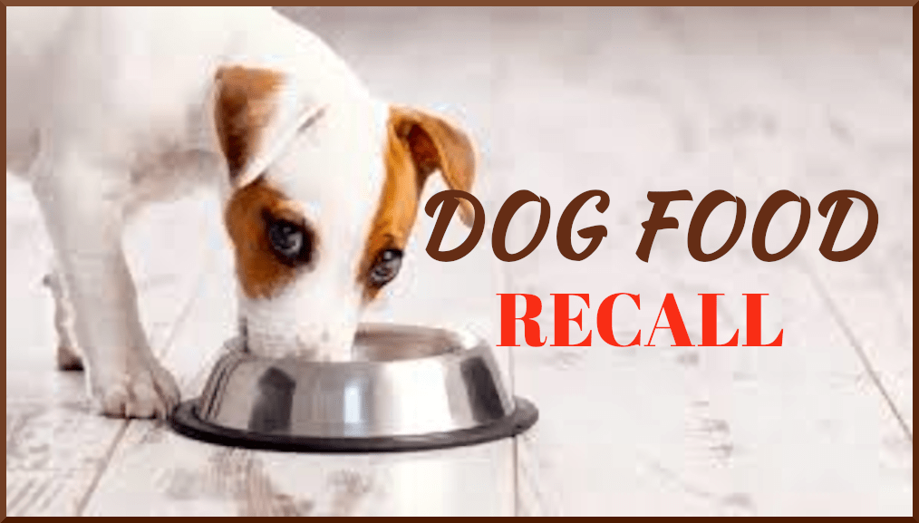 MIDWESTERN PET FOODS VOLUNTARY RECALLS PET FOOD DUE TO SALMONELLA