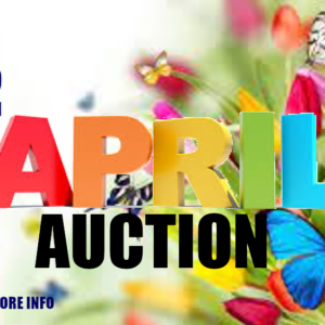 april-auction-1000x563-4-16