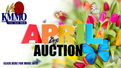 april-auction-1000x563-4-16