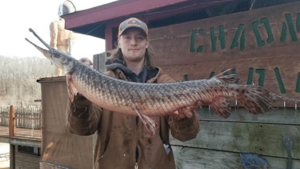 spotted-gar-pic-4-20-21