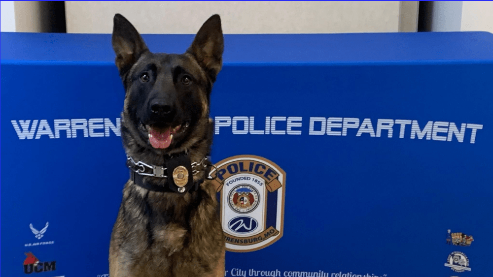 k9-negan-warrensburg-police-department-6-1-21
