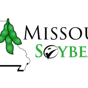 missouri-soybeans-6-16-21