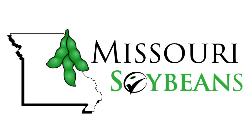 missouri-soybeans-6-16-21