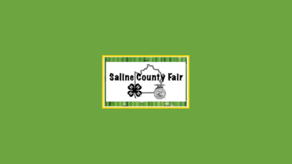 Saline County Fair 2024 Results Dareen Kelcey