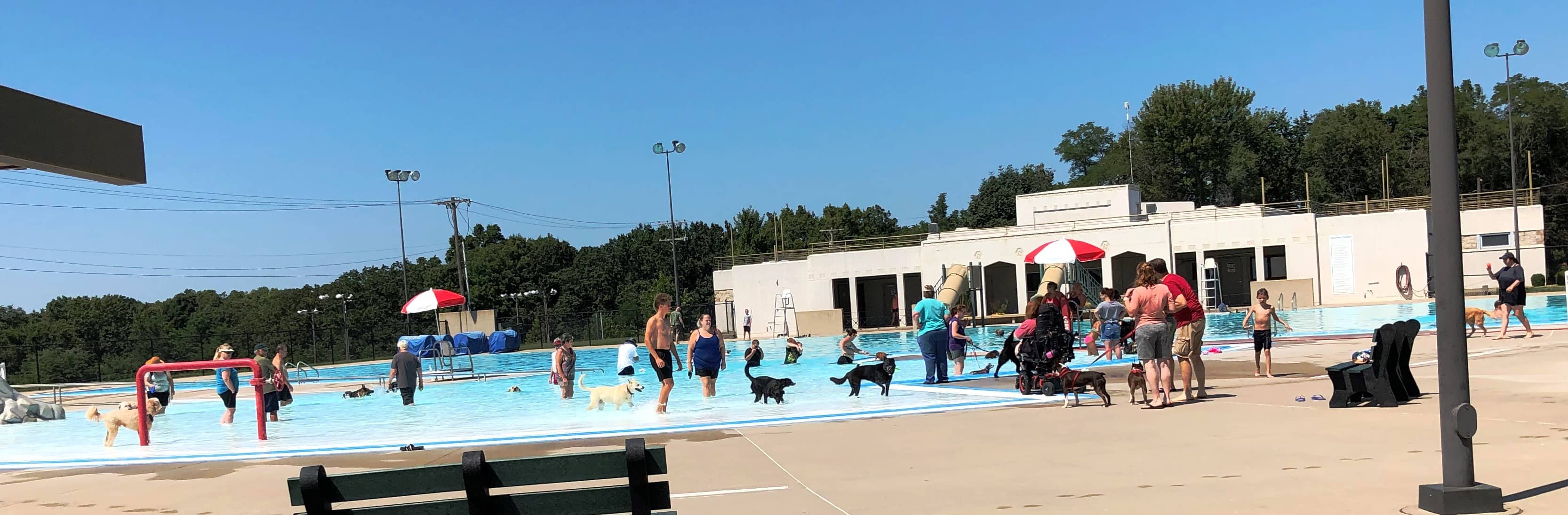doggie-plunge-8-23-21
