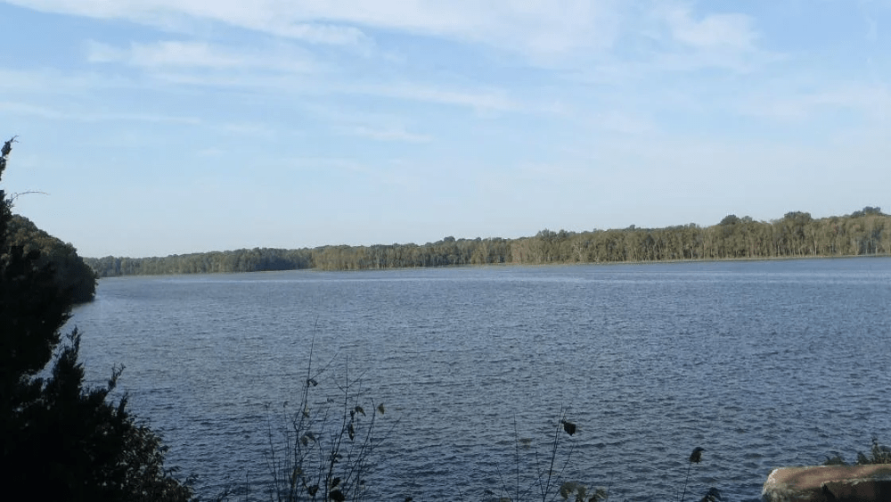 spring-fork-lake