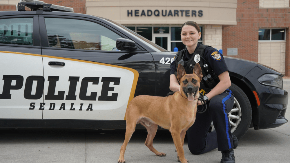 officer-fox-and-k9-ace