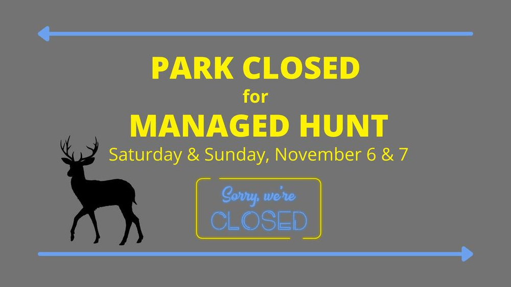 knob-noster-state-park-closed-for-managed-deer-hunt-10-22-21