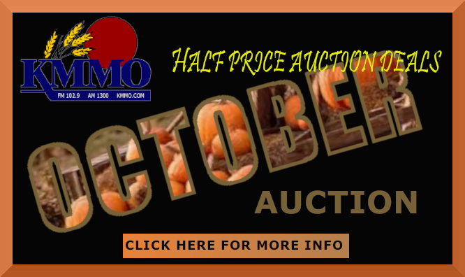 OCTOBER ACTION AUCTION HOT BUYS - Vimarsana News
