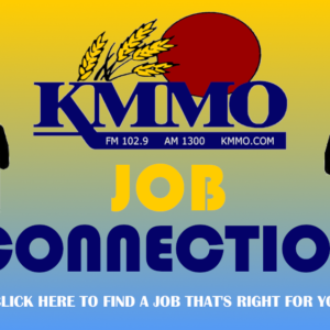 job-connection-1000x563