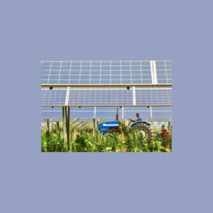 solar-panels-1-28-22