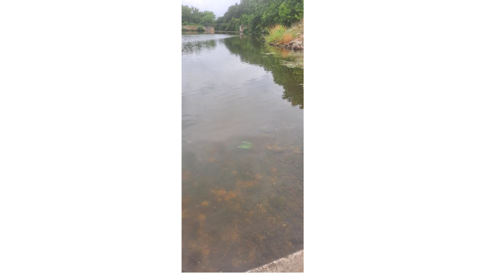 springfork-lake-72522