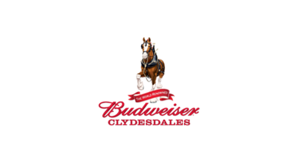 budweiser-clydesdales