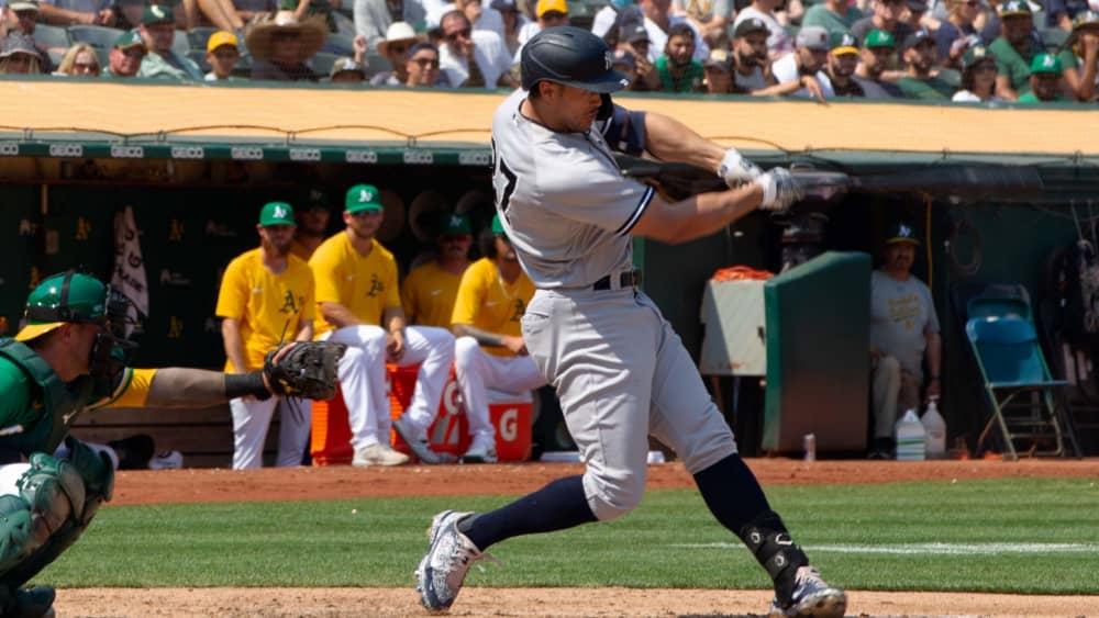 shutterstock_2035754588871229