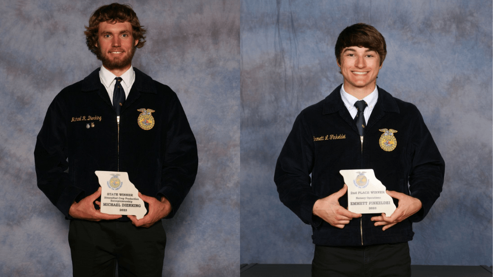 santa-fe-ffa-2