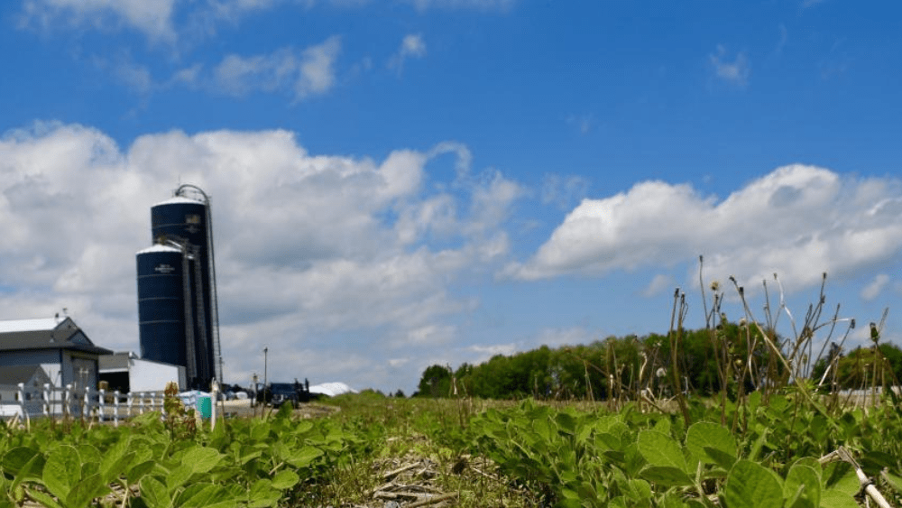 NRCS MISSOURI ANNOUNCES AGRICULTURAL CONSERVATION EASEMENT PROGRAM APPLICATION DEADLINE KMMO