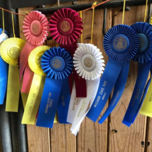 missouri-state-fair-ribbons