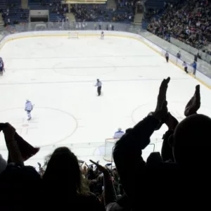 hockey fans applaud at ice hockey stadium