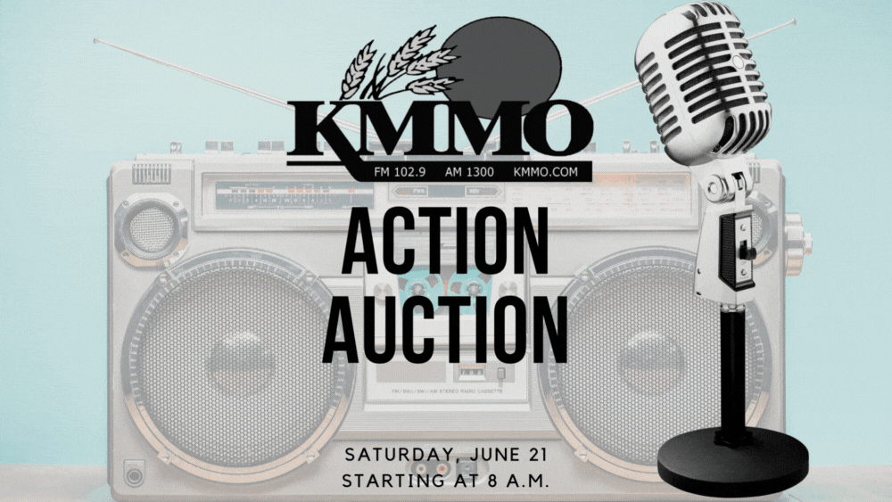 kmmo-action-auction14
