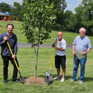 marshall-tree-planting