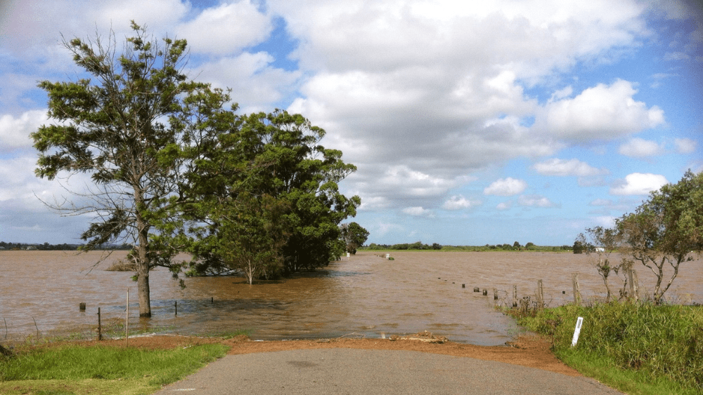 flooded-road-and-fields