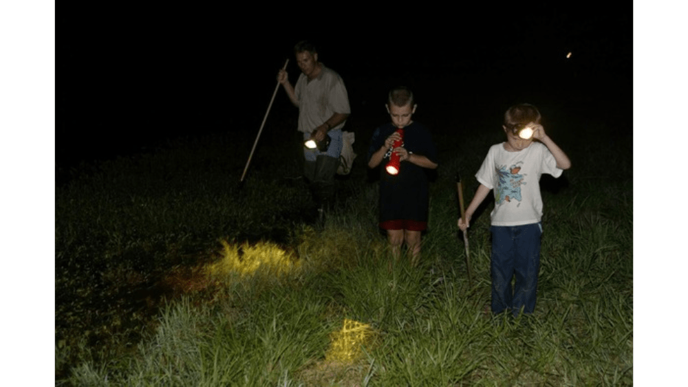 sweet-springs-frog-gigging