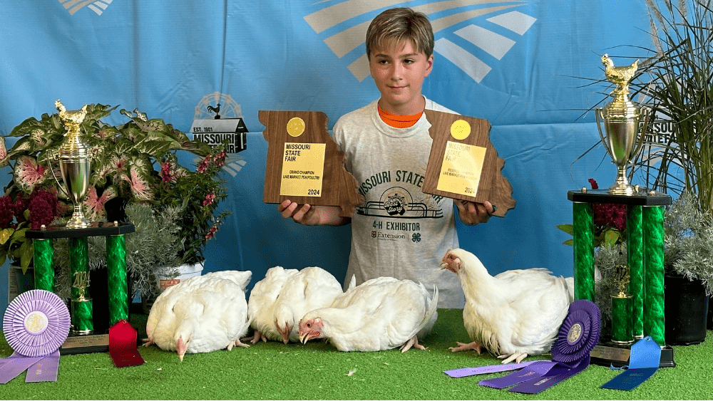 poultry-show-grand-champ