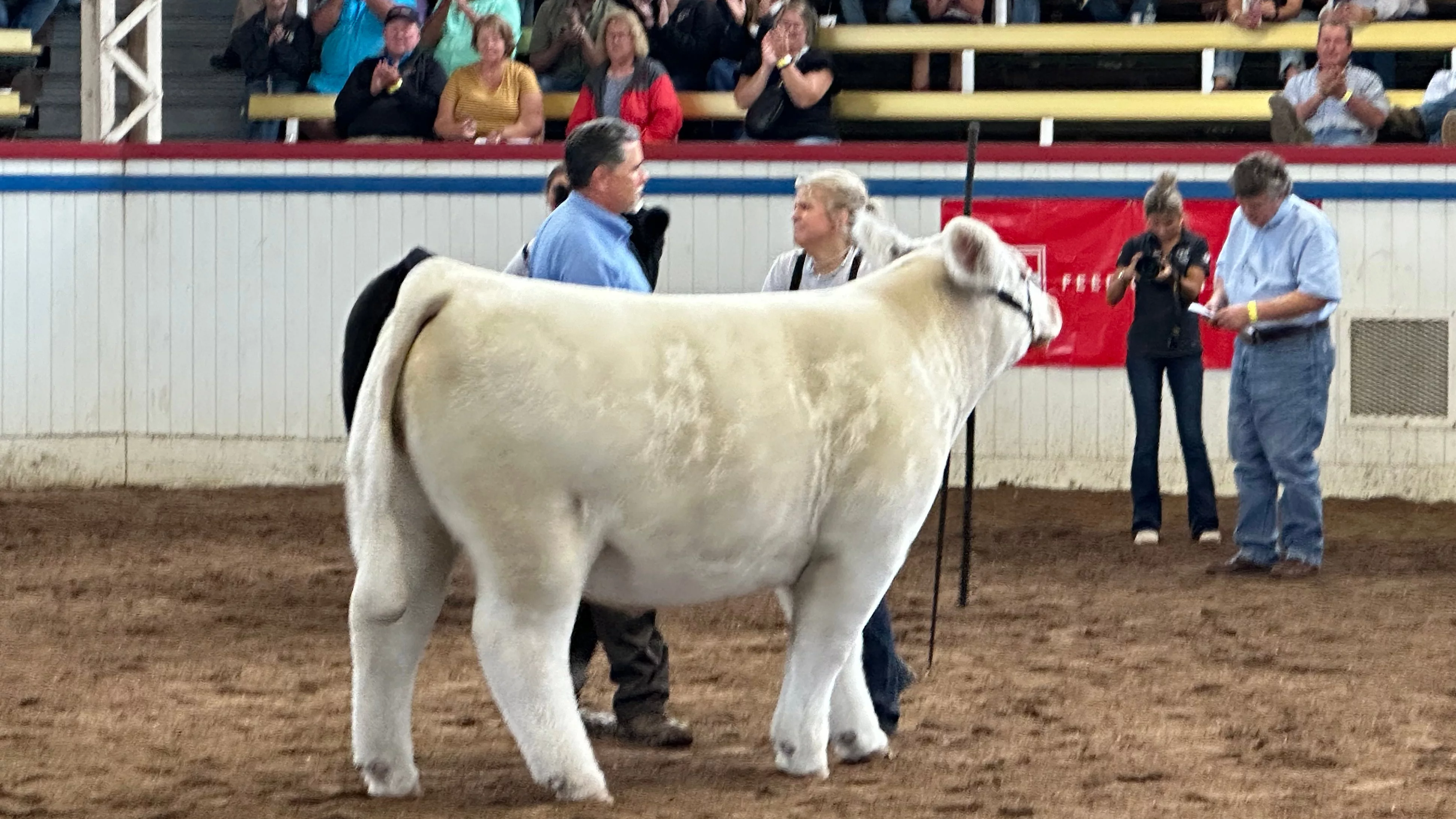 24-0813-graves-gc-steer-with-judge
