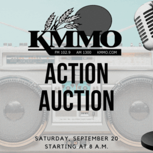 kmmo-action-auction17