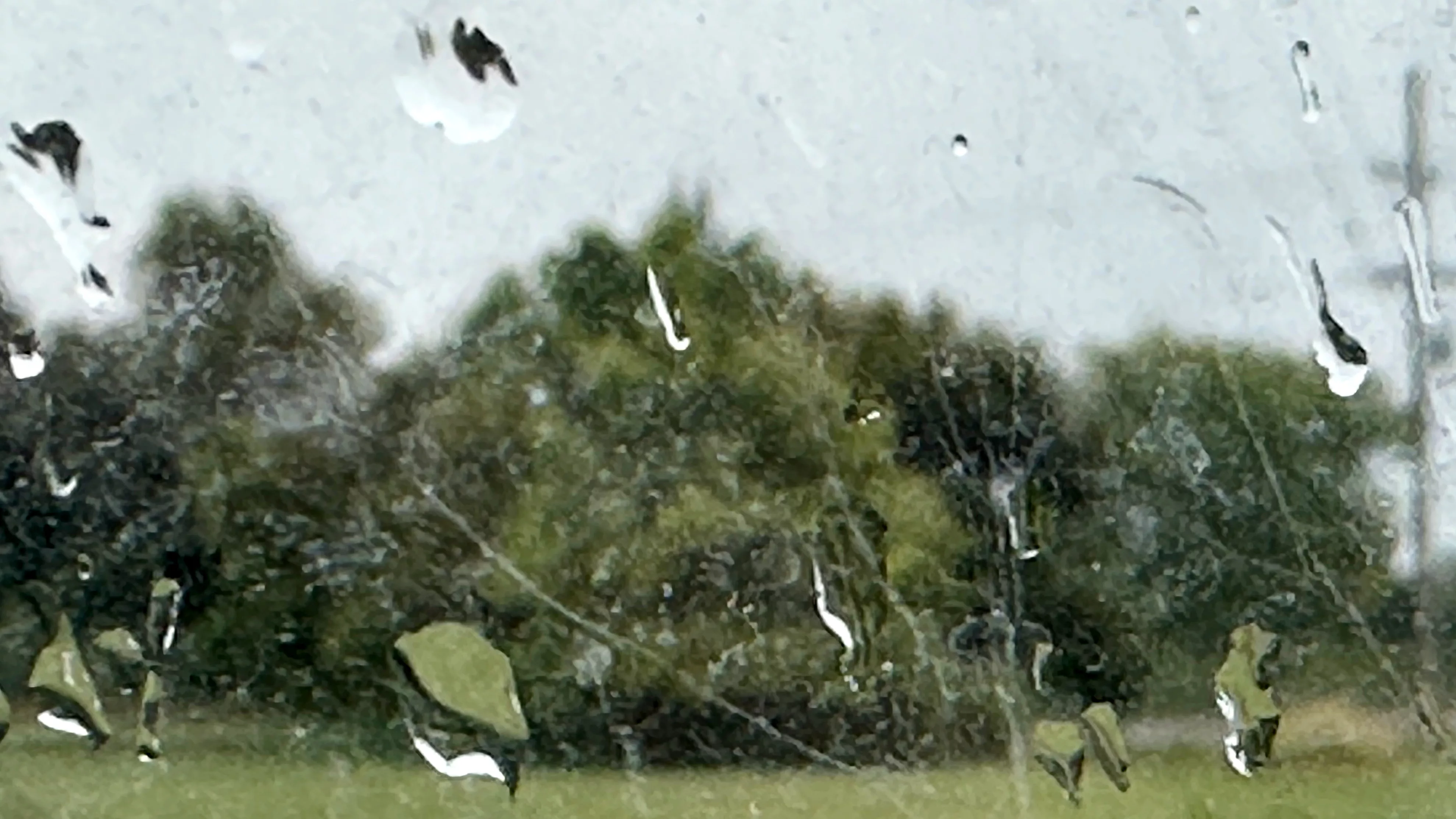 24-0923-rain-on-studio-window