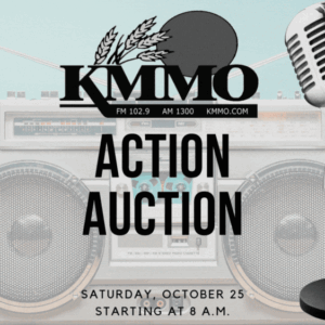kmmo-action-auction18